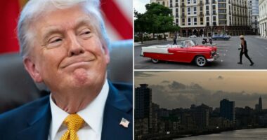 Trump believes heâll be âtaking Cubaâ in the future